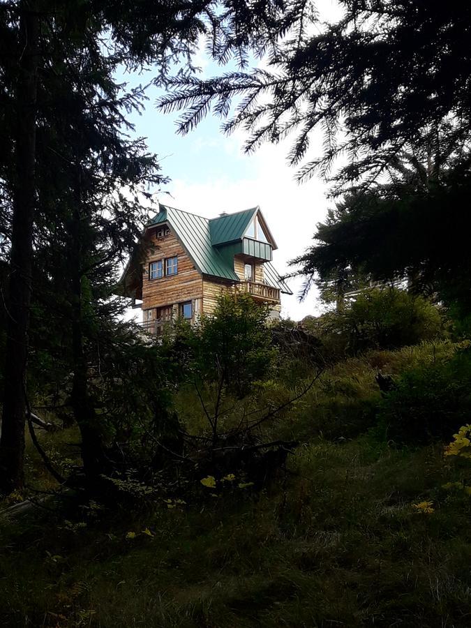 Mountain Story Apartment Žabljak Екстериор снимка