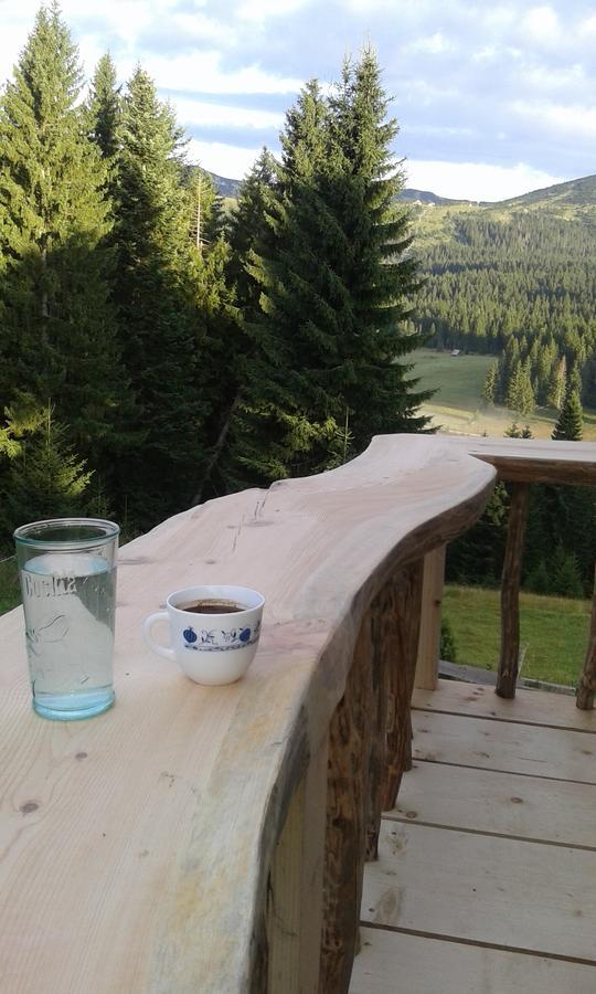 Mountain Story Apartment Žabljak Екстериор снимка