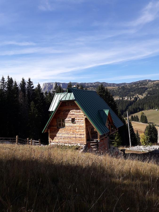 Mountain Story Apartment Žabljak Екстериор снимка