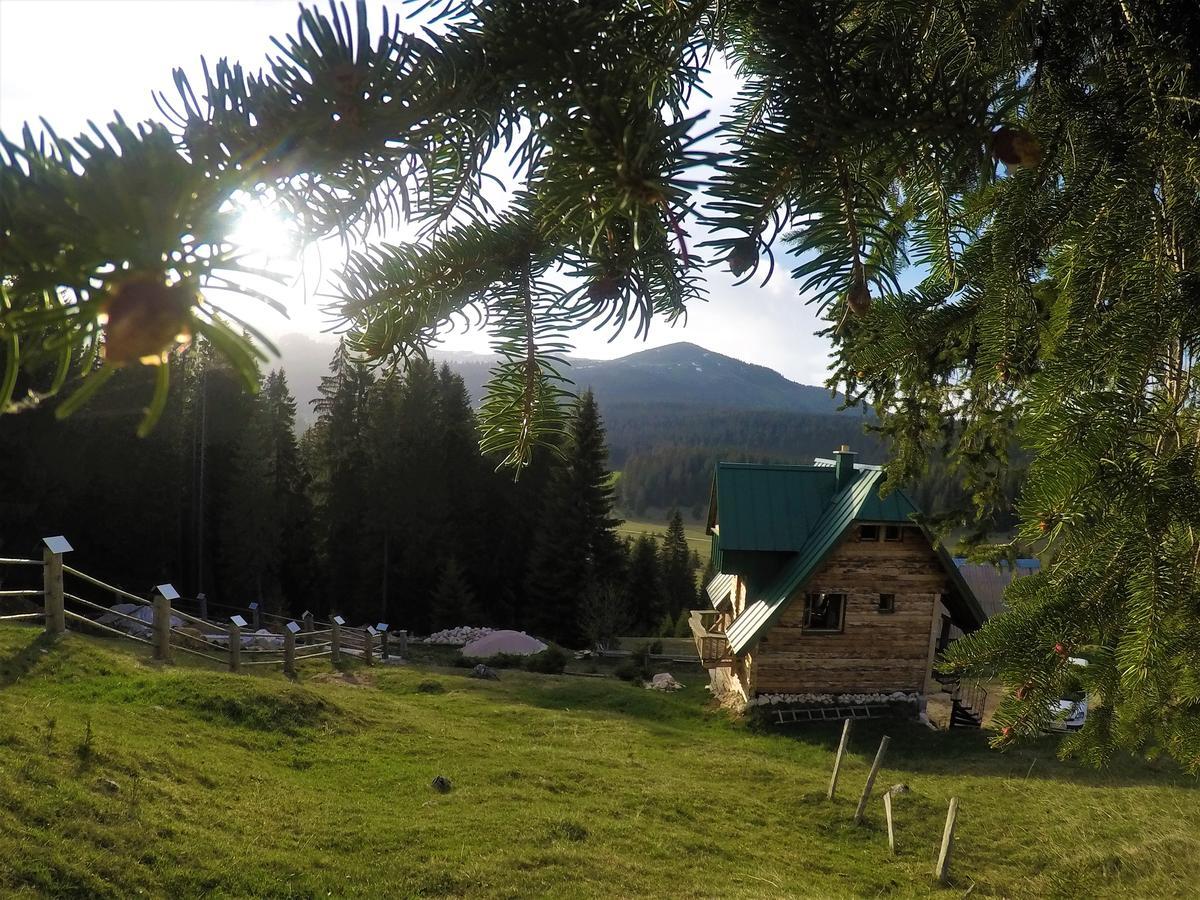 Mountain Story Apartment Žabljak Екстериор снимка
